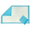 BodyMed Disposable Underpads