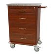 Harloff Wood Vinyl Treatment Cart