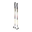 Drive Summit Walking Poles