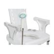 Drive PreserveTech Aquachair Bathing System With Bidet