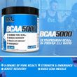 Evlution Nutrition BCAA 5000 Energy Dietary Supplement