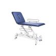 Everyway4all 2-Section Physical Therapeutic Therapy Treatment Table CA20