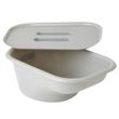 Medline Replacement Commode Bucket 