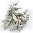 Frontier White Sage Incense