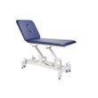 Everyway4all 2-Section Physical Therapeutic Therapy Treatment Table