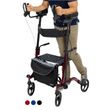 Vive Mobility Upright Walker - Red