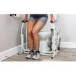 Vive Stand Alone Toilet Safety Rail