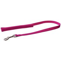 Buy Coastal Pet Nylon Lead - Pink Flamingo