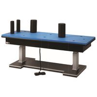 Buy Hausmann Hi-lo Torque Therapy Table