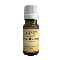 Buy Amrita Aromatherapy Cedar Himalayan Organic Essential Oil