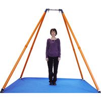 Buy Haleys Joy On The Go III Swing System