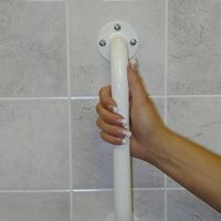 Buy Sunmark Steel Wall Grab Bar