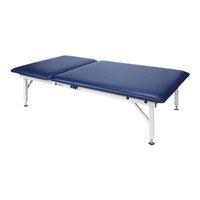 Buy Armedica Fixed Height Steel Mat Treatment Table with Adjustable Backrest