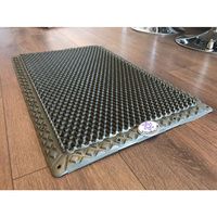 Buy Fitterfirst Cushiun Mat With Spike Technology