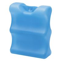 Buy Medela Ice Pack for Breastmilk Storage