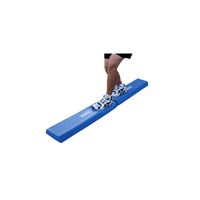 Buy Sammons Aeromat Balance Beam Set