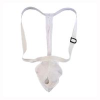 Buy Aleva Health Bauer And Black Suspensory Elastic Waistband Without Leg Strap