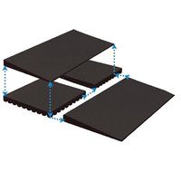 Buy EZ-ACCESS TRANSITIONS Modular Entry Mat Riser