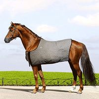 Buy TechNiche Hyperkewl Evaporative Cooling Horse Blankets