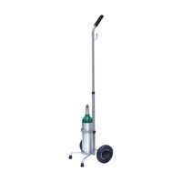 Buy Responsive Respiratory Single M6 Cylinder Cart