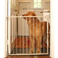 Buy Cardinal Gates Duragate Pet Gate