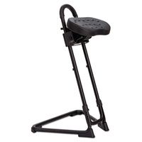 Buy Alera SS Series Sit/Stand Adjustable Stool