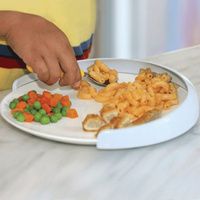 Buy Kinsman My Plate-Mate Food Guard