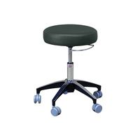 Buy Hausmann Heavy Duty Air-Lift Stool with Control Handle