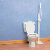 Buy Sammons Preston Homecraft Devon Elite Folding Toilet Support Rail