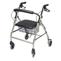 Buy Graham Field Lumex Walkabout Wide Four-Wheel Rollator