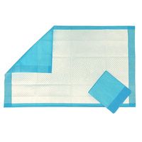 Buy BodyMed Disposable Underpads