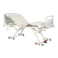 Buy CostCare Heavy Duty Long-Term Acute Care Low Bed