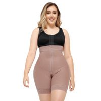 Buy Curveez H-Evolution High-Waisted Shorts