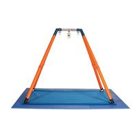 Buy Haleys Joy On The Go III Swing System