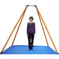 Buy Haleys Joy On the Go Swing Frame with Three Point Suspension