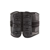 Buy Aspen Adjustable Evergreen 626 Lumbar Lite Back Brace