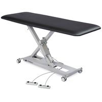 Buy Hausmann Mammoth 1-Section Hi-Lo Treatment Table