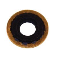 Buy Roscoe Medical Yoke Regulator Washer