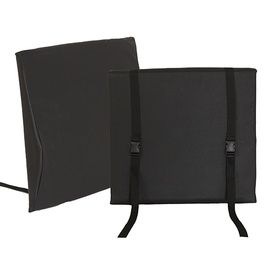 Proactive Protekt Back Cushion