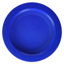 Plate with Inside Edge
