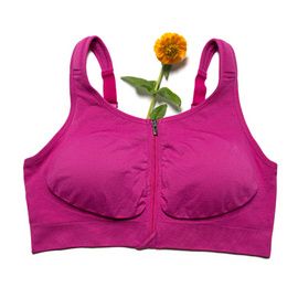 Prairie Wear Hugger Vida Compression Bra