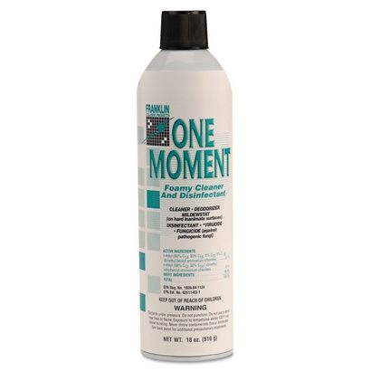 Buy Franklin Cleaning Technology One Moment Foamy Cleaner and Disinfectant