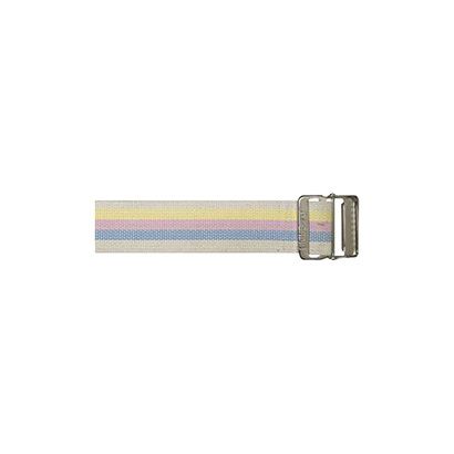 Buy Skil-Care Pastel Stripe Gait Belt