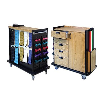 Buy Huasmann Mobile Therapy Station
