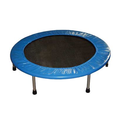 Buy Ideal Plyometric Standard-Duty Personal Round Rebounder