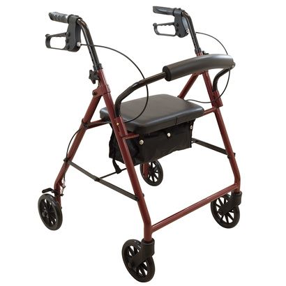 Buy ProBasics Steel Rollator With 6 Inch Wheels