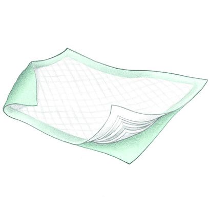 Buy Cardinal Health Wings Plus Disposable Underpads