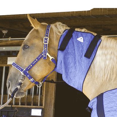 Buy TechNiche Hyperkewl Evaporative Cooling Horse Neck Wrap