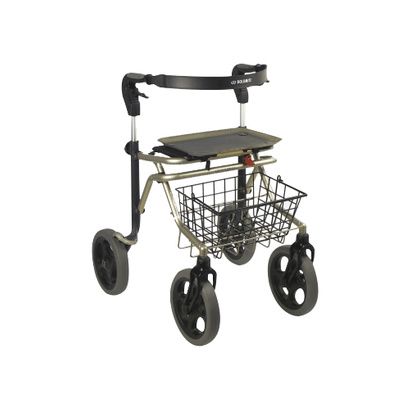 Buy Clarke Dolomite Soprano Walker