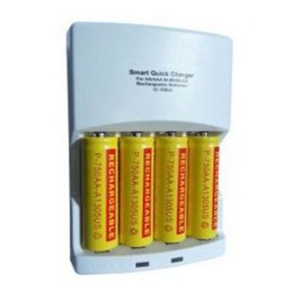 Buy BioMedical NiMH AA Battery Charger